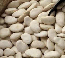 Beans - Lima Baby (Bulk) - Not Organic 